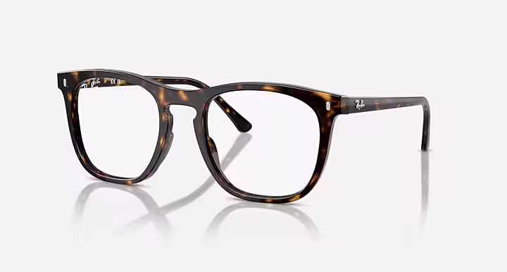 Ray-Ban RB2210V